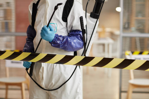 Professional Sewage Cleanup technician working in Wild Rose, WI